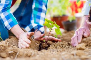 Der Garten ist für viele von uns vor allem im Alter wahre Medizin. Bildquelle: shutterstock.com