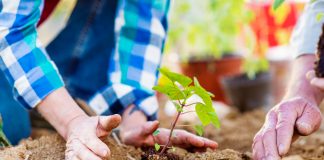 Vorfreude auf den Frühling: Nutzen Sie die ruhige Winterzeit für Ideen zur Garten (-gestaltung) Der Garten ist für viele von uns vor allem im Alter wahre Medizin. Bildquelle: shutterstock.com
