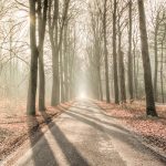 Schon ein paar Sonnenstrahlen am Tag oder ein Stück blauer Himmel helfen unserem Körper das notwendige Vitamin D zu produzieren. Bildquelle: Pixabay.de
