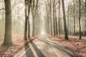 Schon ein paar Sonnenstrahlen am Tag oder ein Stück blauer Himmel helfen uns sich deutlich frischer zu fühlen. Bildquelle: Pixabay.de