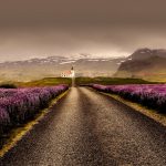 Die einzigartige Natur in Island zieht unfassbar viele Touristen an. Bildquelle: shutterstock.com