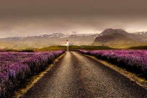 Die einzigartige Natur in Island zieht unfassbar viele Touristen an. Bildquelle: shutterstock.com