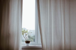 Offene oder gekippte Fenster und Türen laden ungebetene Gäste ein. Bildquelle: unsplash.com