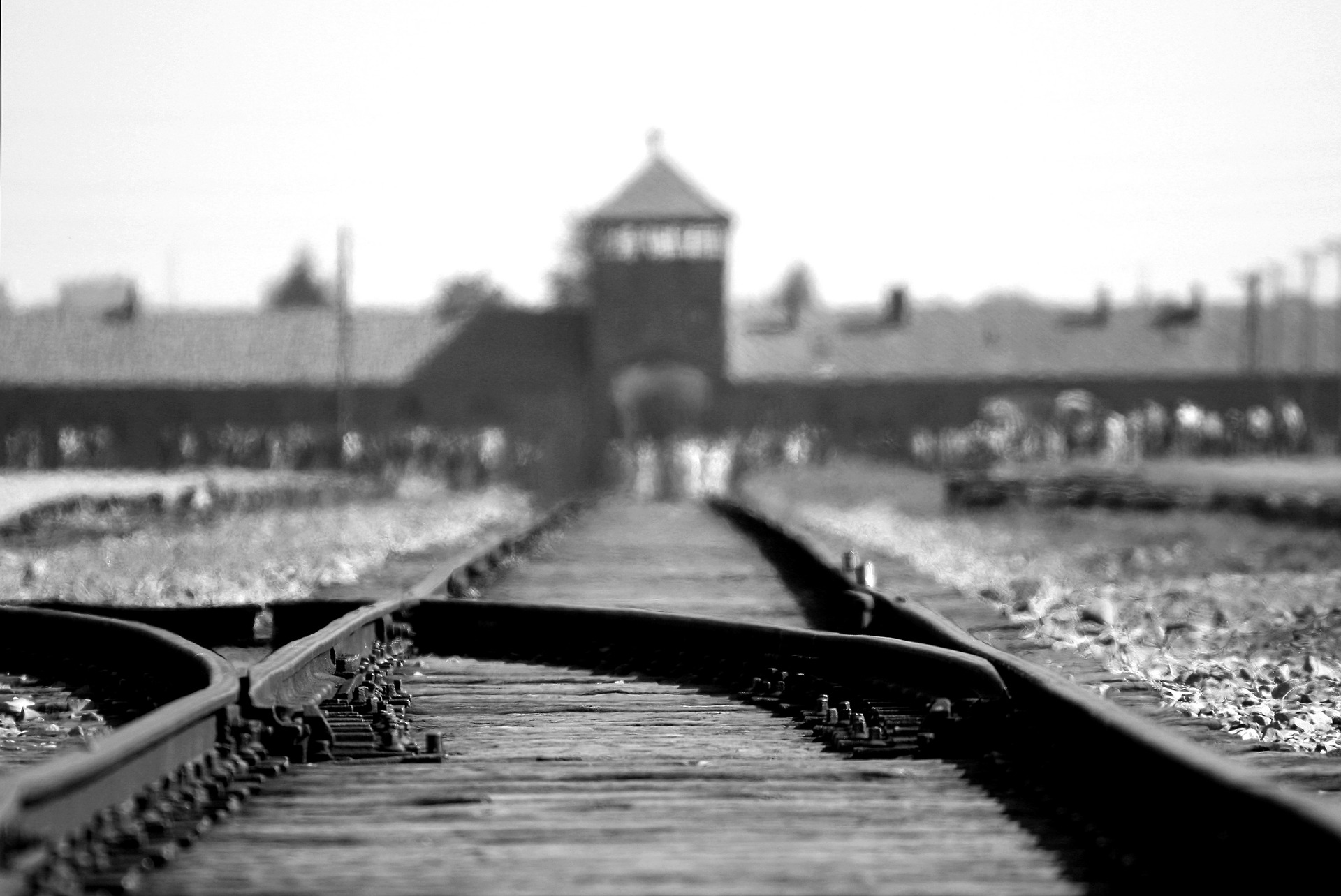 Bis heute soll das Mahnmal in Berlin an die Millionen Menschen erinnern die dem Holocaust der Nazis zum Opfer fielen. Bildquelle: pixabay.de