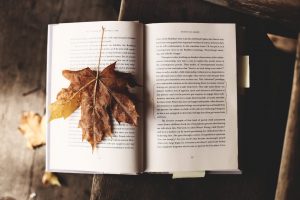 Im Erzählcafé werden vor allem Geschichten und Zeitzeugenberichte aus der Vergangenheit aufgearbeitet. Bildquelle: Ksenia Makagonova / unsplash.com
