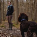 Ob mit oder ohne Hund – Marlis freut sich auf nette Begleitung auf ihren Wandertouren rund um Leipzig. Bildquelle: Matt Unger on Unsplash.com