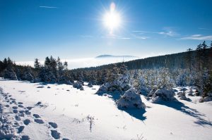 Haben Sie Lust auf Winter und wollen nicht weit reisen? Dann ist der Harz für Sie vielleicht eine interessante Alternative. Bildquelle: shutterstock.com