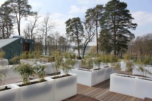 Die Dachterrasse der Panoramasauna bietet Ihnen im Sommer wie im Winter einen tollen Ausblick. Bildquelle: BadSaarowKurGmbH