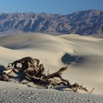 Hitze, Wüste und Sand soweit das Auge reicht. Bildquelle: Pixabay.de