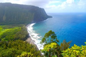 Big Island hat eine große Anzahl an unterschiedlichsten Klimazonen. Das macht diese Insel so einzigartig. Bildquelle: shutterstock.com