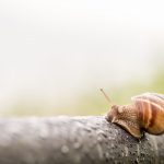Vor allem ältere Menschen kämpfen mit dem Gefühl der Einsamkeit, da sie oft die eigenen vier Wände kaum mehr verlassen. Bildquelle: Pixabay.de