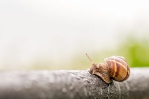 Vor allem ältere Menschen kämpfen mit dem Gefühl der Einsamkeit, da sie oft die eigenen vier Wände kaum mehr verlassen. Bildquelle: Pixabay.de