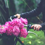 Pfingstrosen sind wunderschön und sind sehr pflegeleicht im Garten. Bildquelle: Pixabay.de