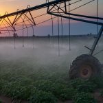 Die Landwirtschaft hat einen enormen Fortschritt durch die Menschen in einem Kibbuz erfahren. Bildquelle: shutterstock.com
