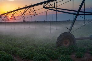 Die Landwirtschaft hat einen enormen Fortschritt durch die Menschen in einem Kibbuz erfahren. Bildquelle: shutterstock.com