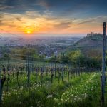 Staufen im Breisgau ist unbedingt einen Besuch wert. Idyllisch und malerisch liegt dieses kleine Städtchen inmitten der Weinberge. Bildquelle: Pixabay.de