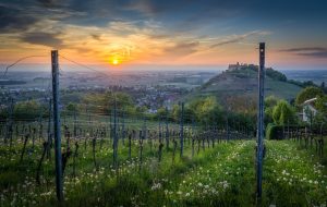 Staufen im Breisgau ist unbedingt einen Besuch wert. Idyllisch und malerisch liegt dieses kleine Städtchen inmitten der Weinberge. Bildquelle: Pixabay.de