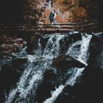 Der Schluchtensteig hält durchaus die ein oder kleine Herausforderung für den Wanderer bereit. Bildquelle:  © Anthony Intraversato/Unsplash.com