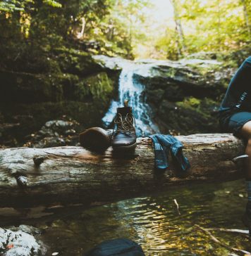Wandern im Südschwarzwald: der Schluchtensteig Der Schluchtensteig gehört zu den Top Trails in Deutschland. Bildquelle: © Jake Ingle/Unsplash.com