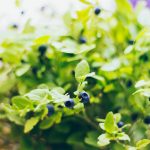 majk-m-661-unsplash