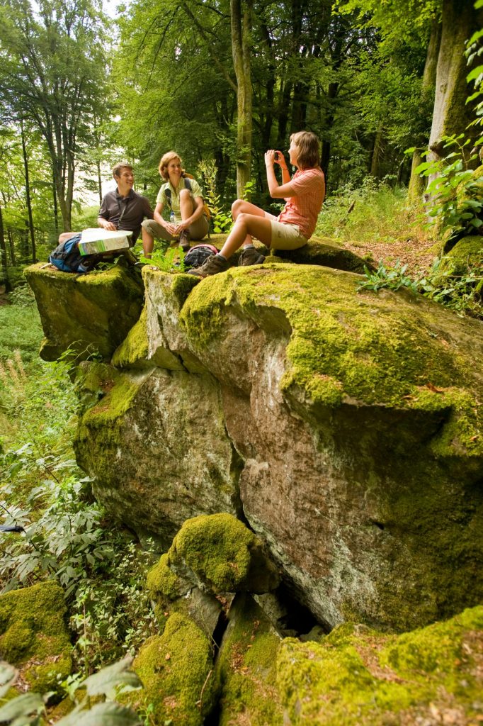 Der Eifelsteig durchquert die Bundesländer Nordrhein-Westfalen und Rheinland-Pfalz. Bildquelle: Dominik Ketz/Rheinland Pfalz Tourismus GmbH