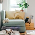 Nicht nur der Vierbeiner hat es gern warm und gemütlich im Winter. Um hier die Kosten im Blick zu halten lohnt sich ein Vergleich der Anbieter im Internet. Bildquelle: © Brina Blum / Unsplash.com