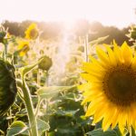 Fließen lassen und mit sich selbst im Reinen sein, dafür empfindet Pater Anselm Grün Dankbarkeit. Bildquelle: © Elijah Hail / Unsplash.com
