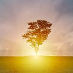 Den richtigen Moment nicht verpassen und Loslassen, das wünscht sich Pater Anselm Grün. Bildquelle: © Terry Tan de HaoUnsplash.com
