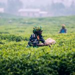 Manager ohne Grenzen helfen den Menschen in entwicklungsbedürftigen Ländern mit ihrem Know-how. Bildquelle: © Maxime Niyomwungeri / Unsplash.com