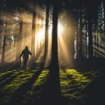 Raus an die Luft und möglichst jeden Sonnenstrahl einfangen. Das ist ein wertvolles Rezept gegen eine Winterdepression. Bildquelle: © Kiwihug / Unsplash.com