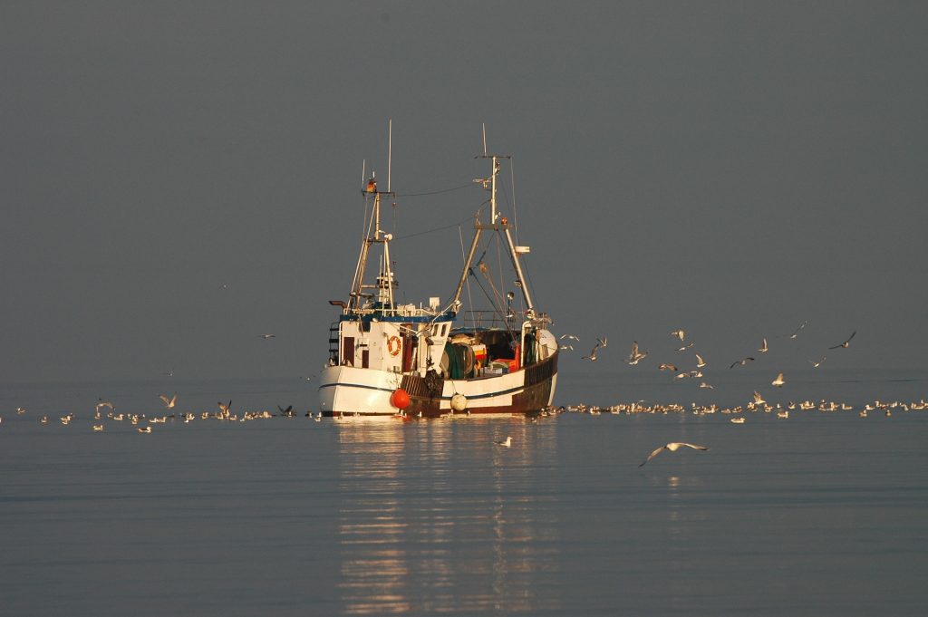 Ein zum Glück immer noch typisches Bild an der Ostsee - Fischkutter die den Fang einfahren. Bildquelle: Pixabay.de