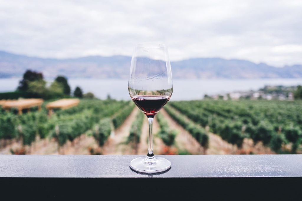 Rotwein hat in der Regel einen höheren Tanningehalt als Weißwein. Bildquelle: © Kym Ellis / Unsplash.com