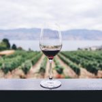 Rotwein hat in der Regel einen höheren Tanningehalt als Weißwein. Bildquelle: © Kym Ellis / Unsplash.com