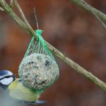 Die kleinen Dinge im Leben können in der Arbeit mitWidmen Sie sich im Umgang mit Menschen mit Dement den ganz normalen Dingen des Lebens und beobachten Sie einfach mal wieder die Vögel in der Natur. Bildquelle: © Julian Jakob Strauss / Unsplash.com