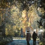 Marthe versucht so gut es geht jeden Tag spazieren zu gehen und die frische Luft zu genießen. Bildquelle: © James Francis / Unsplash.com