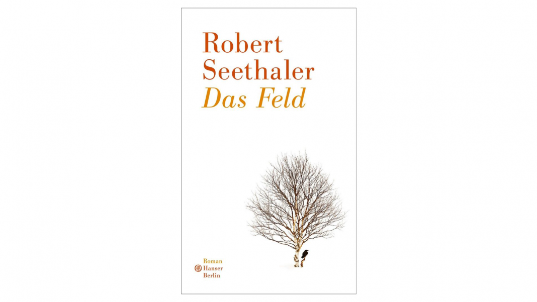 das-feld In Das Feld begleitet Robert Seethaler 29 Schicksale über den Lebensabend hinaus. Bildquelle: Hanser Berlin