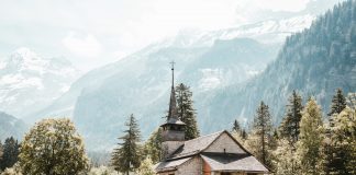 Romantipp der Woche: Das Feld von Robert Seethaler Auf Seethaler gefeierten Roman „Ein ganzes Leben“ folgt, ebenfalls bei Hanser Berlin, „Das Feld". Bildquelle: unsplashed.com/martinadams