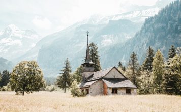 Romantipp der Woche: Das Feld von Robert Seethaler Auf Seethaler gefeierten Roman „Ein ganzes Leben“ folgt, ebenfalls bei Hanser Berlin, „Das Feld". Bildquelle: unsplashed.com/martinadams