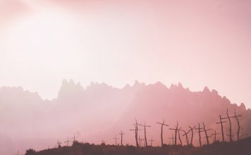 59plus Buchtipp: Letzte Begegnungen mit Hannah Haberland