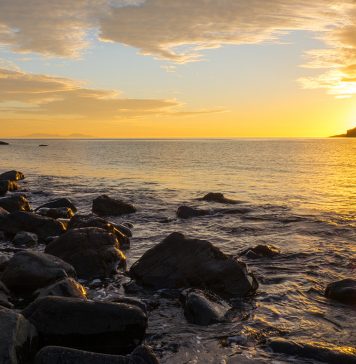 Laden Sie die maritime Atmosphäre in Ihre Wohnung ein – dies ist einfacher, als es scheint! Maritime Atmosphäre in den eigenen vier Wänden lässt sich leichter gestalten als man denkt. Bildquelle: AdobeStock, Autor: elxeneize