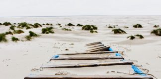Buchempfehlung im Sommer: Mein Amrum