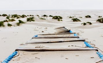 Buchempfehlung im Sommer: Mein Amrum