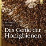 804409-genie-der-honigbienen
