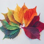 Jede Jahreszeit hat ihre Farben und die sollten wir unbedingt zur Orientierung für die an Demenz erkrankten Menschen berücksichtigen. Bildquelle: © Chris Iawton / Unsplash.com