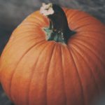Der Hokaido Kürbis eignet sich nicht nur zum Kochen, sondern auch zum Basteln. Bildquelle: © Aaron Burden / Unsplash.com