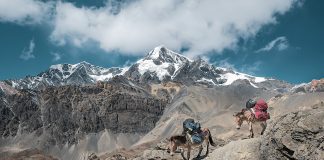 Buchtipp: Gehen, ohne je den Gipfel zu besteigen
