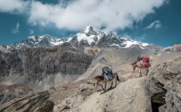Buchtipp: Gehen, ohne je den Gipfel zu besteigen