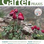 940032-garten-praxis-12-2019-cover1