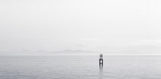 Lesetipp: Herr Fliegenbein und die Suche nach der Stille