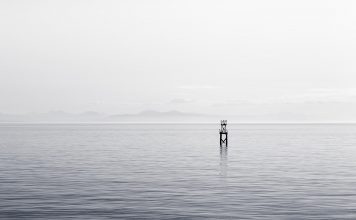 Lesetipp: Herr Fliegenbein und die Suche nach der Stille